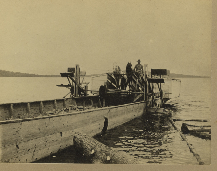 Scaled image s00599.jpg 