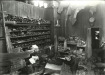 Thumbnail s00786.jpg 
