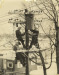 Thumbnail s00761.jpg 