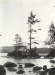 Thumbnail s01119.jpg 