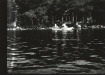 Thumbnail s01179.jpg 