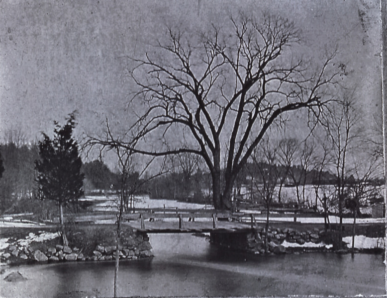 Scaled image s01685.jpg 