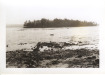 Thumbnail s01016.jpg 
