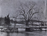 Thumbnail s01685.jpg 