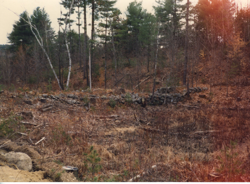 Scaled image s01301.jpg 