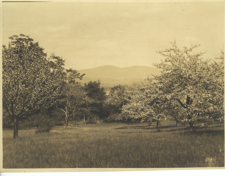 Scaled image s01241.jpg 