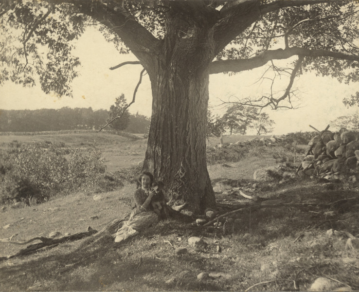 Scaled image s01242.jpg 