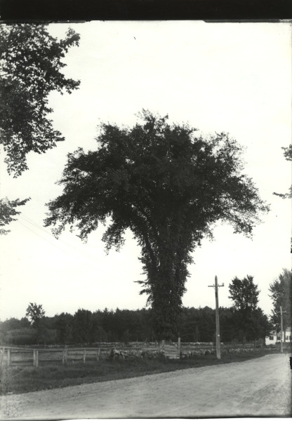 Scaled image s01244.jpg 