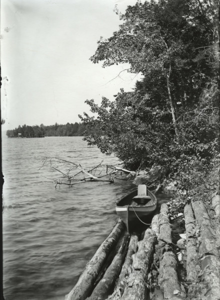 Scaled image s01260.jpg 