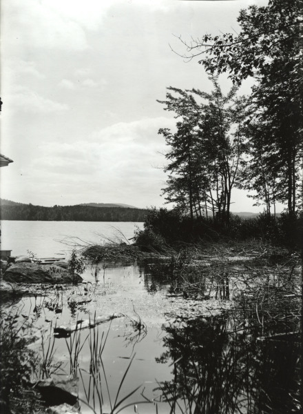 Scaled image s01261.jpg 