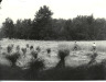 Thumbnail s01240.jpg 