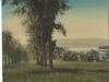 Thumbnail s01270.jpg 