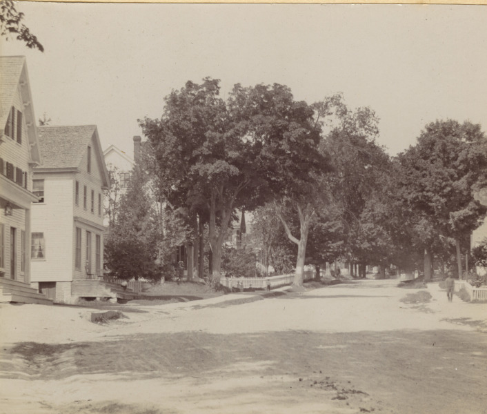 Scaled image s01459.jpg 