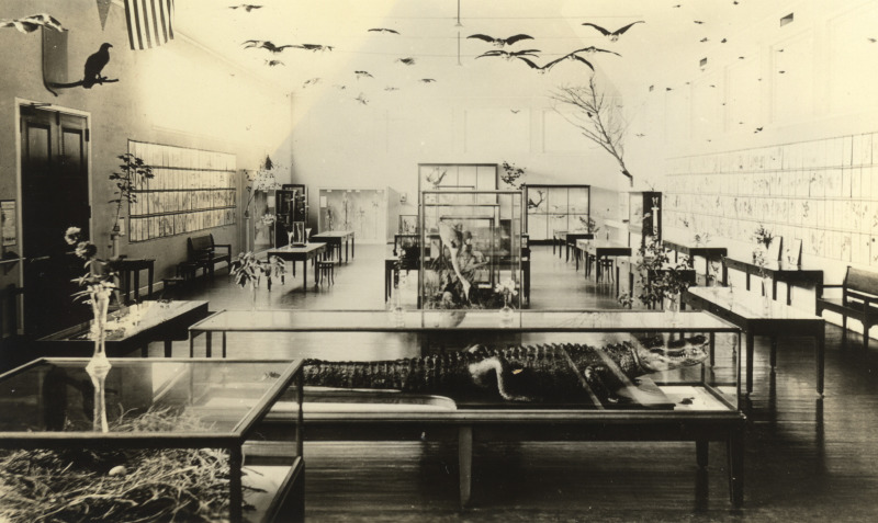 Scaled image s01585.jpg 