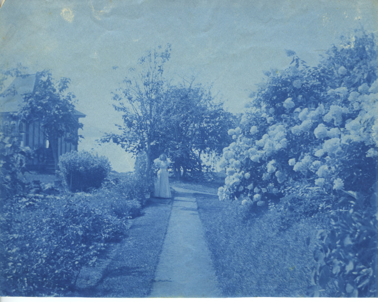 Scaled image s01607.jpg 