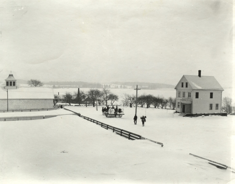 Scaled image s01629.jpg 