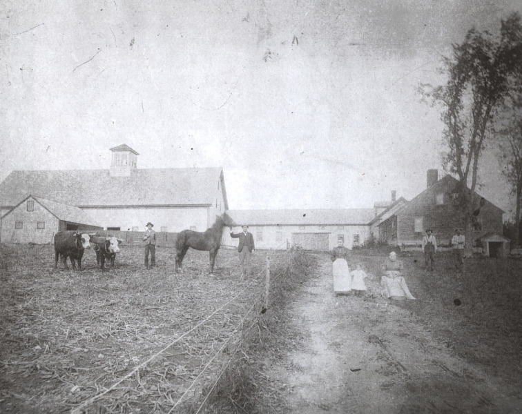 Scaled image s01528.jpg 