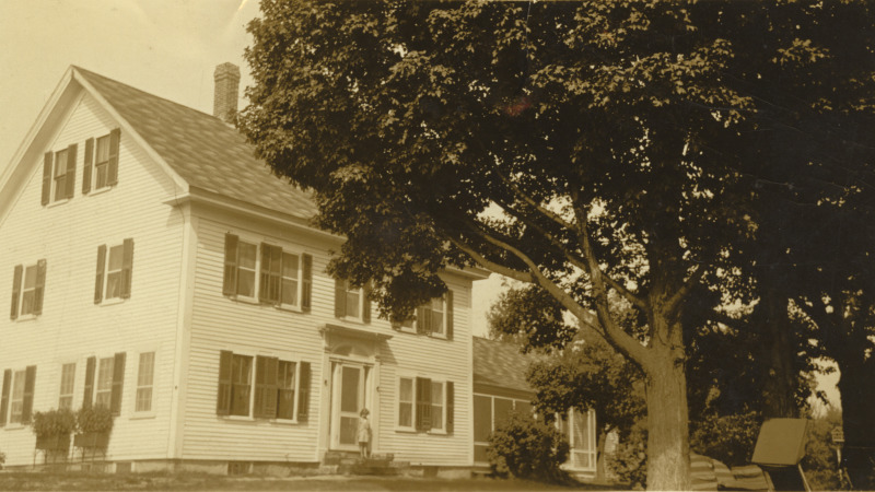 Scaled image s01542.jpg 