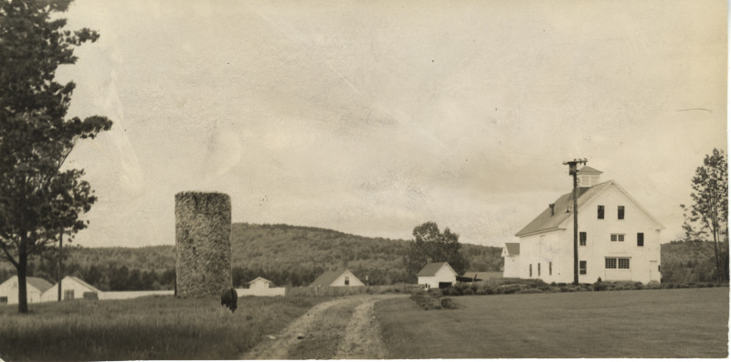 Scaled image s01547.jpg 