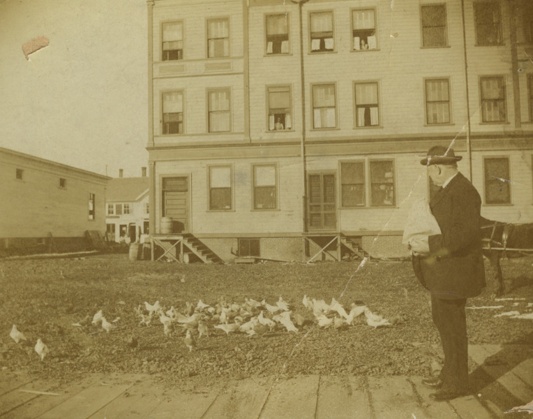 Scaled image s01557.jpg 