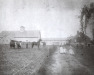 Thumbnail s01528.jpg 