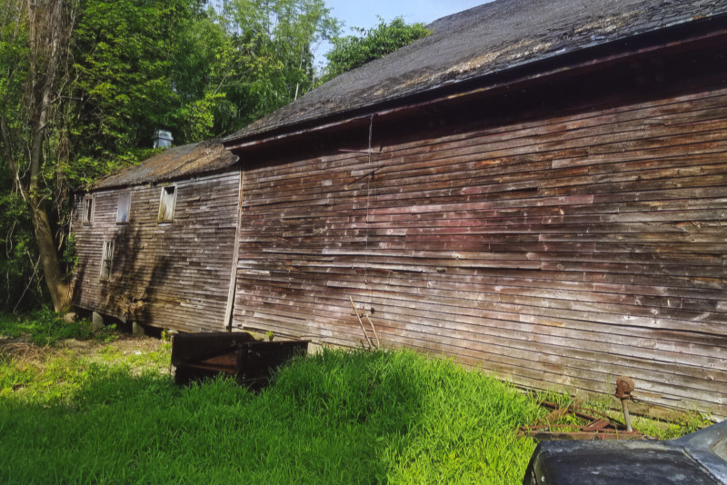 Scaled image s01666.jpg 