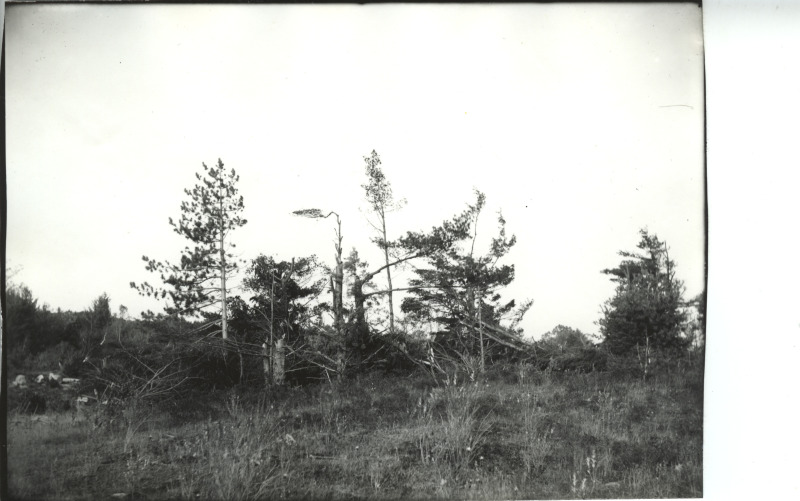 Scaled image s01125.jpg 