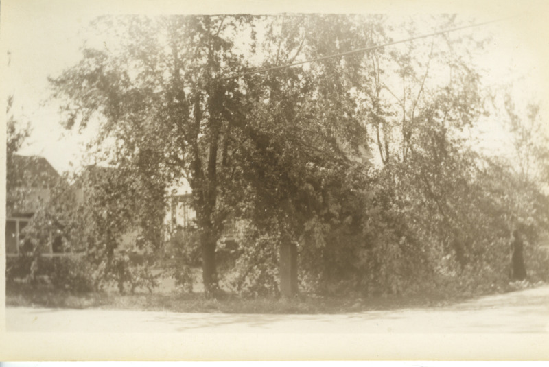 Scaled image s01131.jpg 