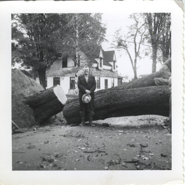 Scaled image s01148.jpg 