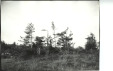 Thumbnail s01125.jpg 