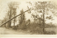Thumbnail s01130.jpg 