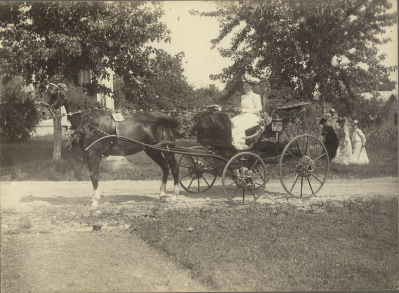 Scaled image s01377.jpg 