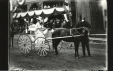 Thumbnail s00974.jpg 