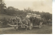 Thumbnail s00980.jpg 