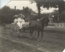 Thumbnail s00983.jpg 