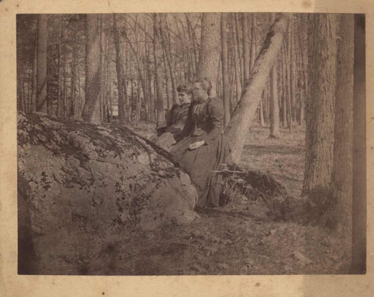 Scaled image s00131.jpg 