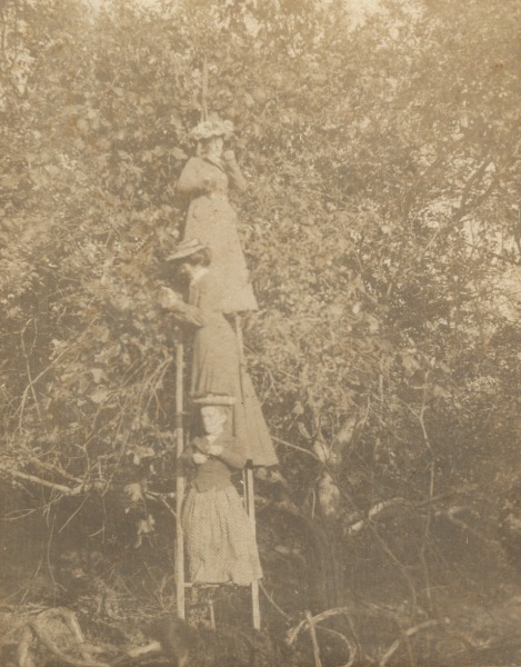 Scaled image s00172.jpg 