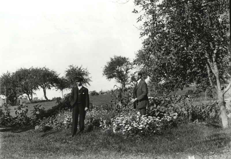 Scaled image s00203.jpg 