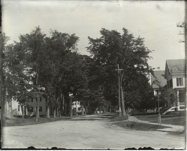 Scaled image s00887.jpg 