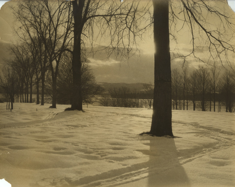 Scaled image s00894.jpg 