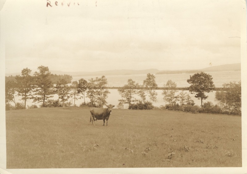 Scaled image s00433.jpg 