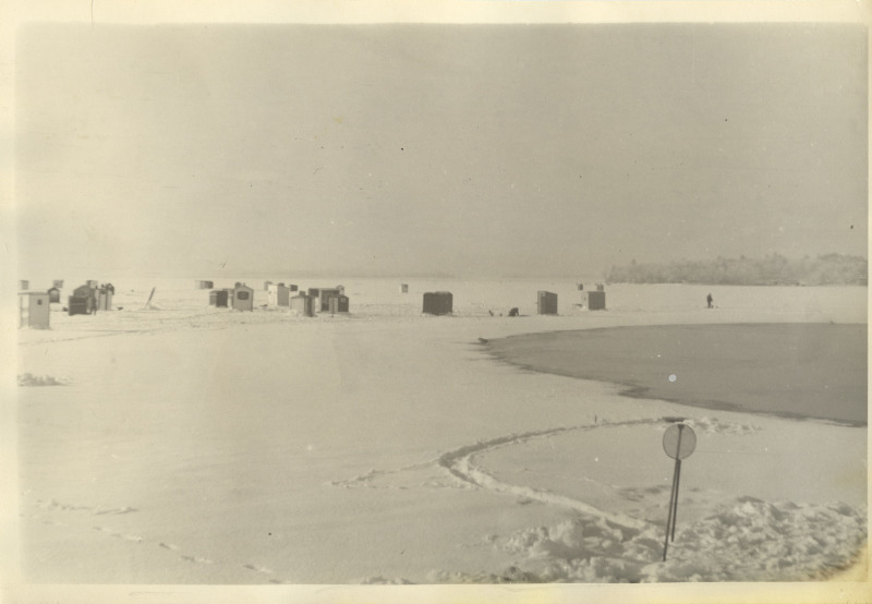 Scaled image s00629.jpg 