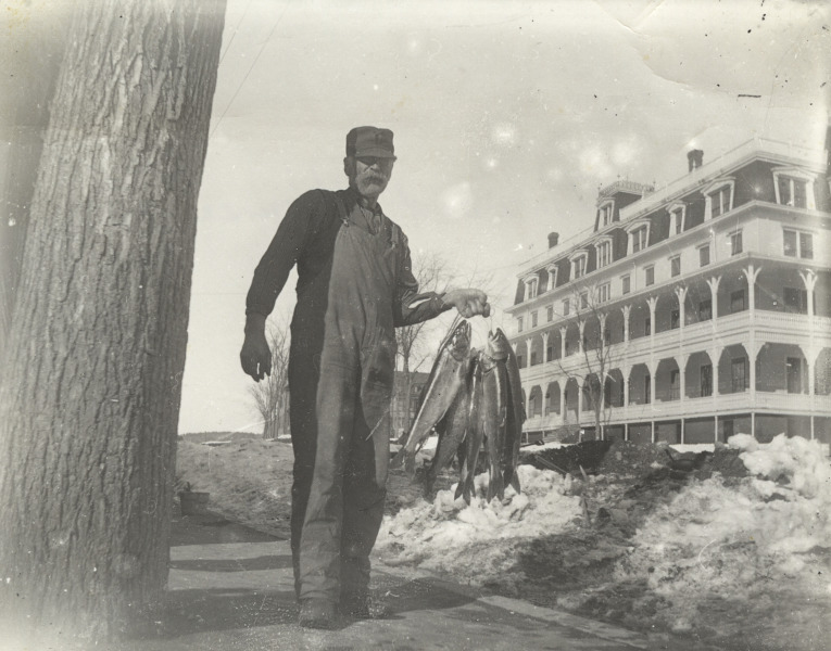 Scaled image s01362.jpg 