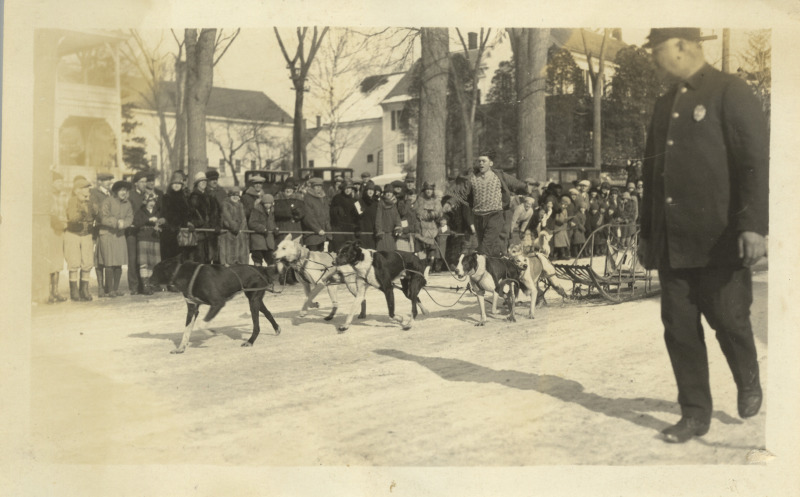 Scaled image s00663.jpg 