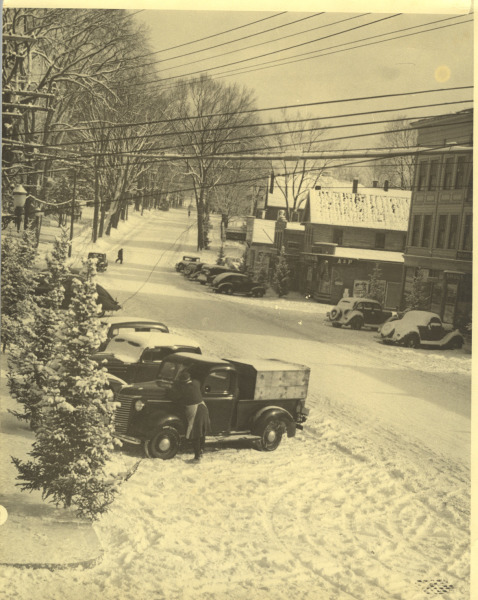 Scaled image s00608.jpg 