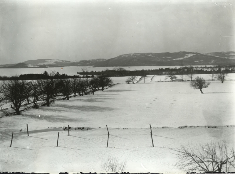 Scaled image s01364.jpg 