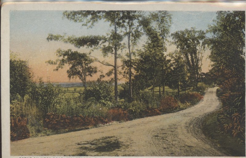 Scaled image s00477.jpg 