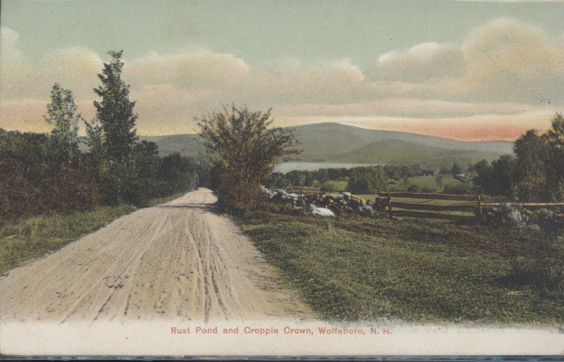 Scaled image s00455.jpg 