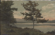 Thumbnail s00461.jpg 