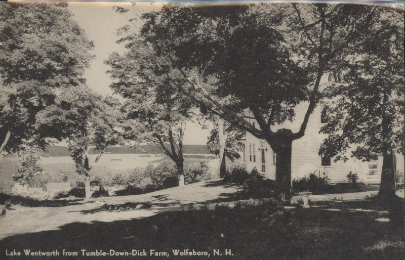 Scaled image s00390.jpg 